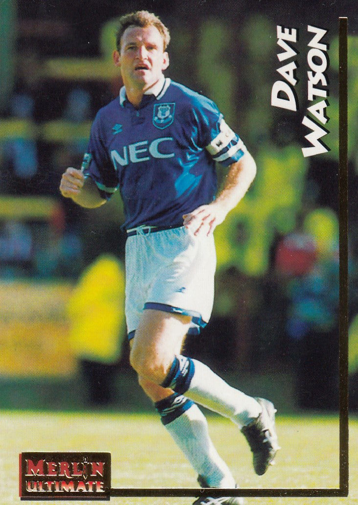 075. DAVE WATSON - EVERTON