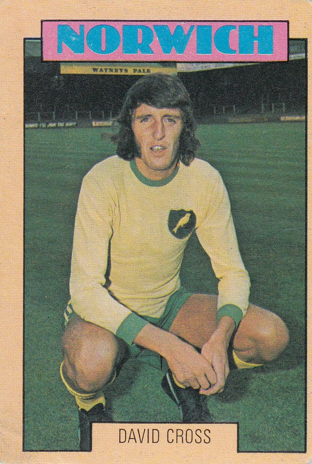 250. David Cross - Norwich