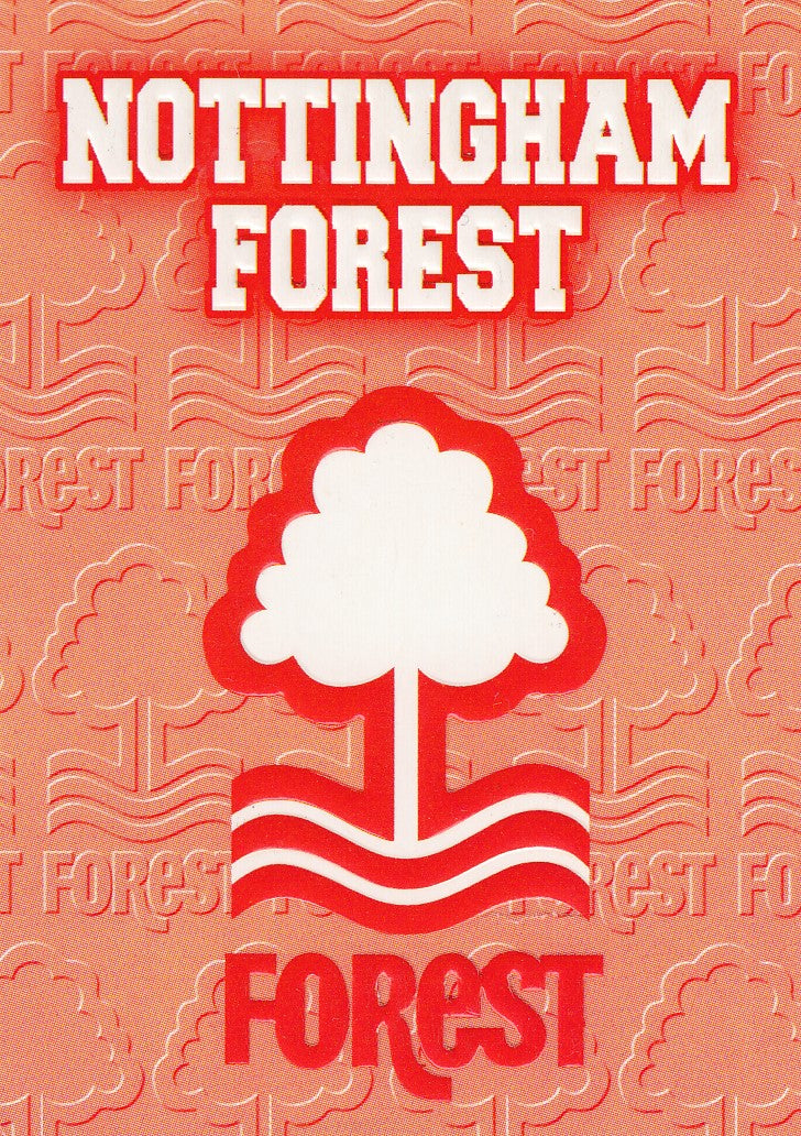 E14. TEAM BADGE - NOTTINGHAM FOREST