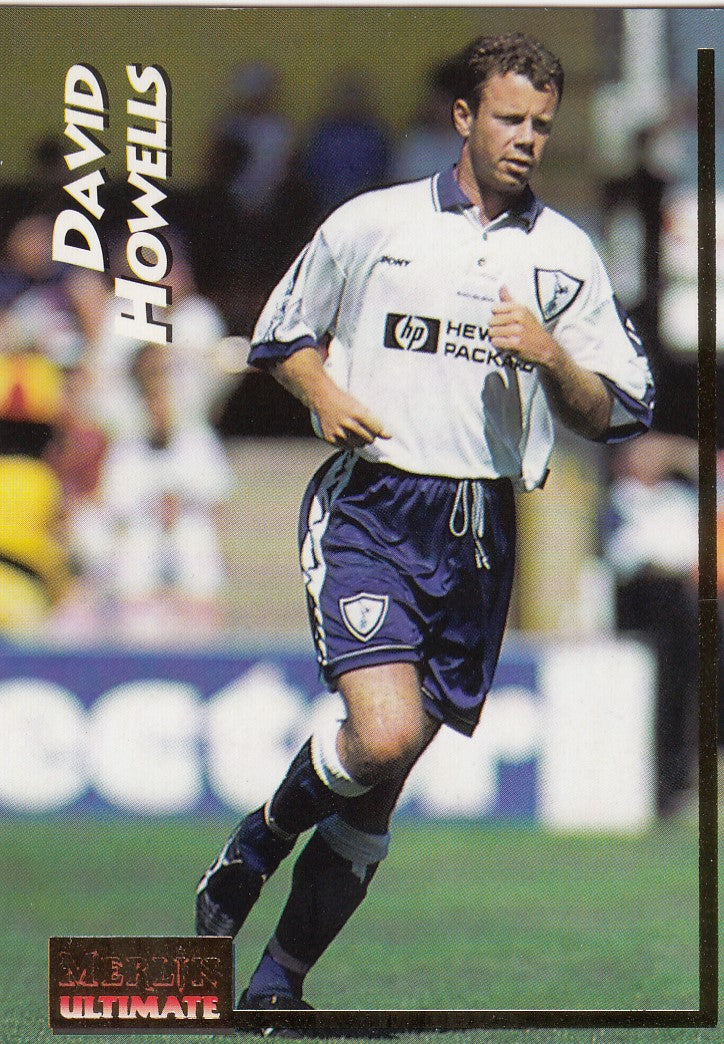 215. DAVID HOWELLS - TOTTENHAM