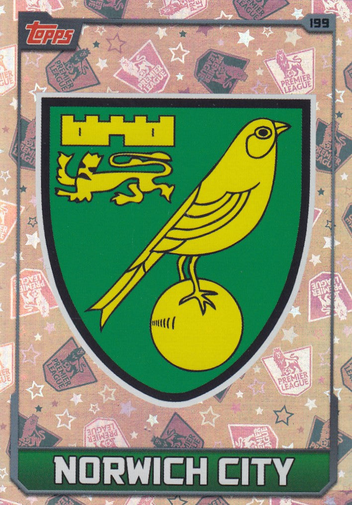 199. NORWICH CITY - CLUB BADGE