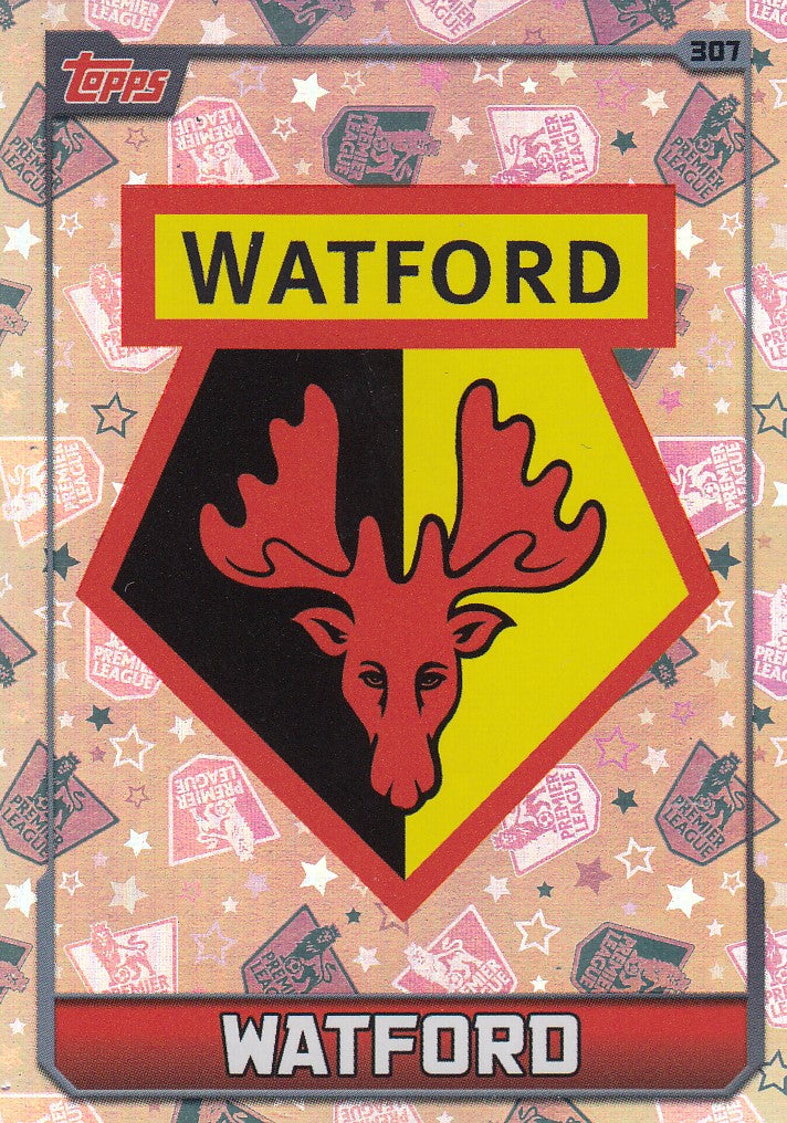 307. WATFORD - CLUB BADGE