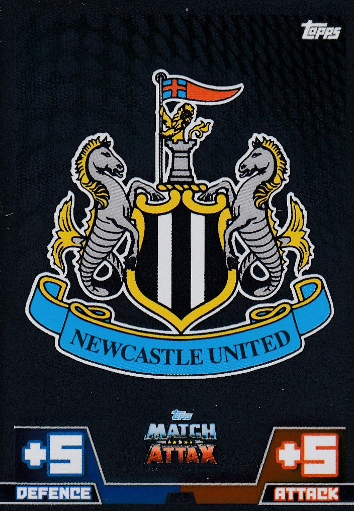 199. NEWCASTLE - CLUB BADGE