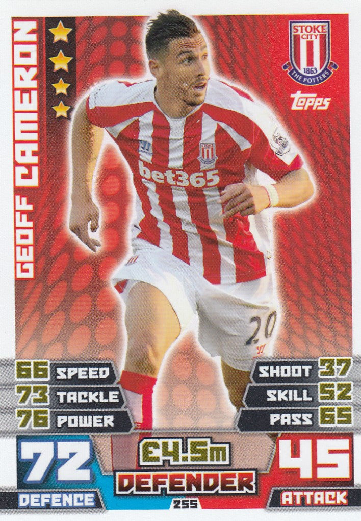 255. GEOFF CAMERON - STOKE CITY
