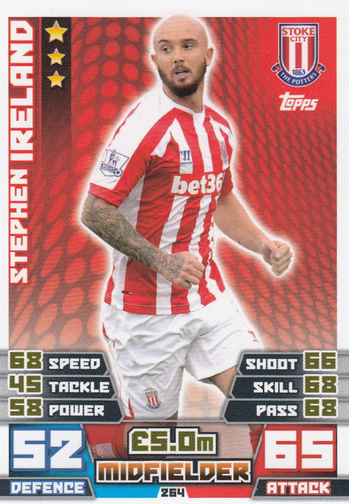 264. STEPHEN IRELAND - STOKE CITY