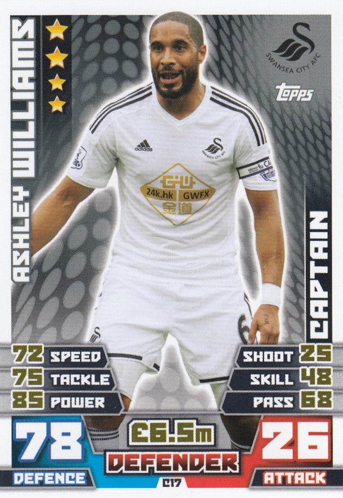 EX-C17. ASHLEY WILLIAMS - SWANSEA - CAPTAIN
