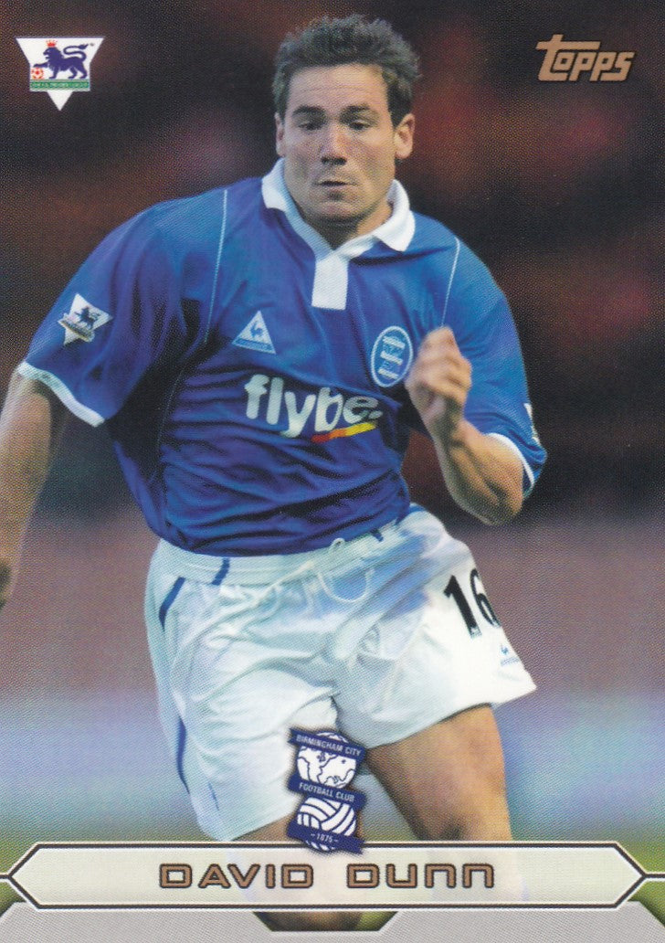 BC4. DAVID DUNN - BIRMINGHAM CITY