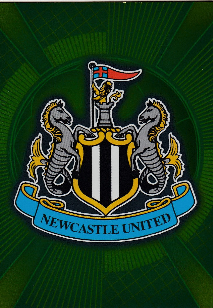 C16. NEWCASTLE UNITED - CLUB BADGE