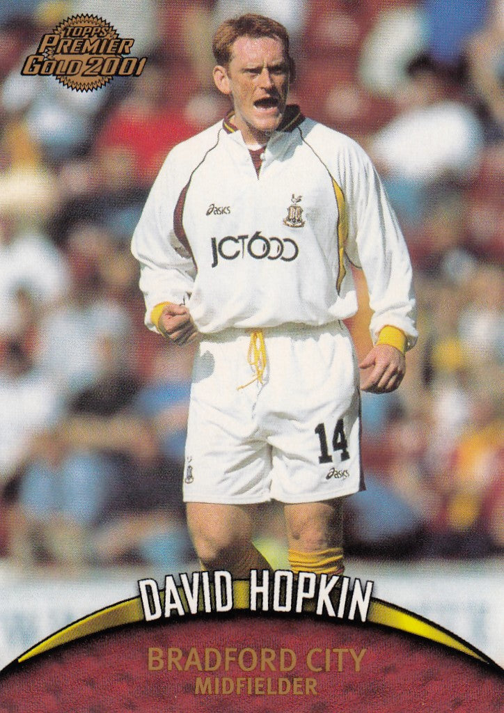 019. DAVID HOPKIN - BRADFORD CITY