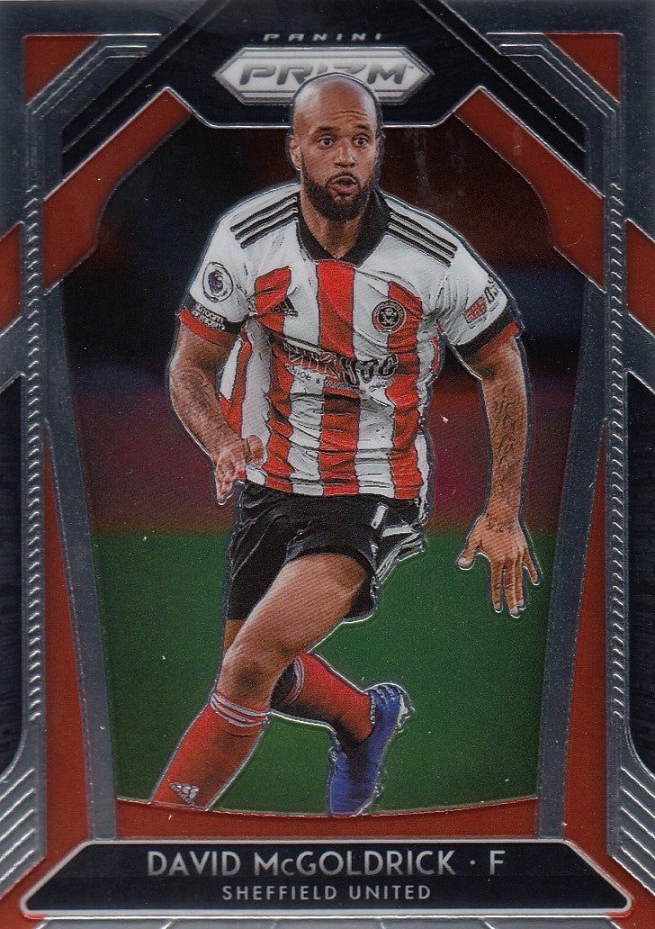 029. DAVID MCGOLDRICK - SHEFFIELD UNITED