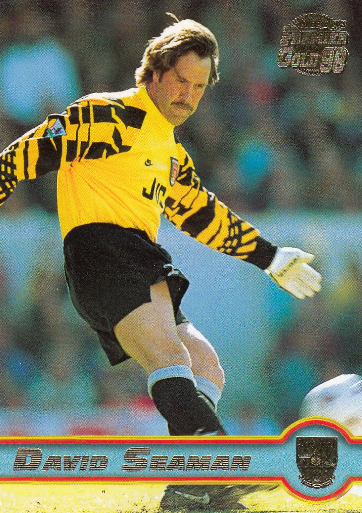 006. DAVID SEAMAN - ARSENAL