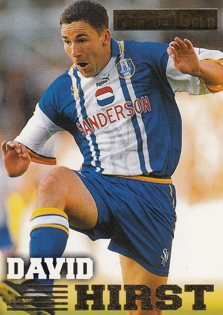 119. DAVID HIRST - SHEFFIELD WEDNESDAY