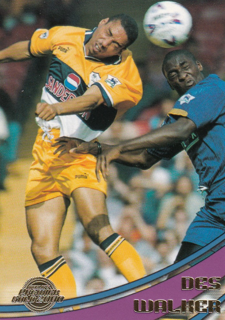 075. DES WALKER - SHEFFIELD WEDNESDAY