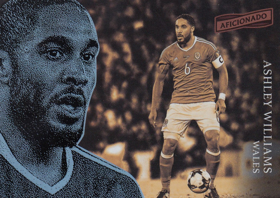 082. ASHLEY WILLIAMS - WALES
