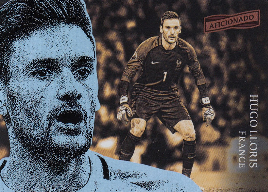 120. HUGO LLORIS - FRANCE