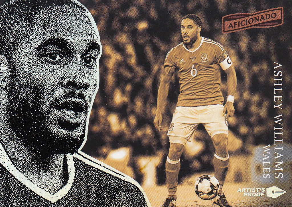 082. ASHLEY WILLIAMS - WALES - ARTIST`S PROOF SILVER