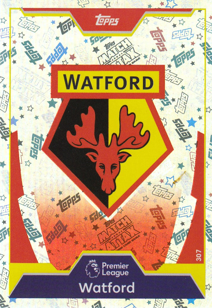 307. WATFORD - CLUB BADGE