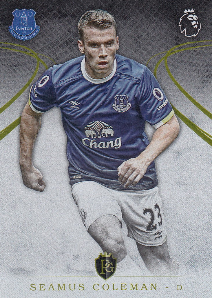 029. SEAMUS COLEMAN - EVERTON