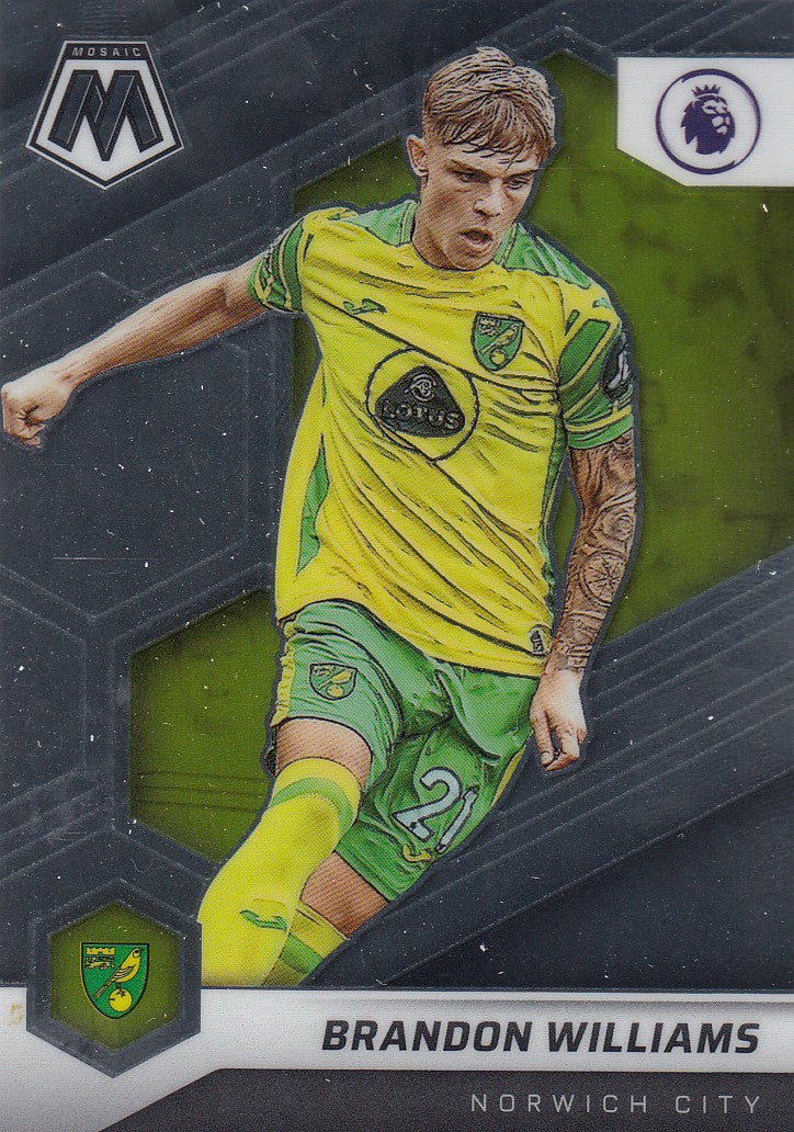 093. BRANDON WILLIAMS - NORWICH