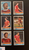 LIVERPOOL FOTBALLKORTMONTASJE FRA 1977/78 - RED BACKS