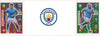000. MANCHESTER CITY KOMPLETT SETT MED PANINI FIFA 365 2021