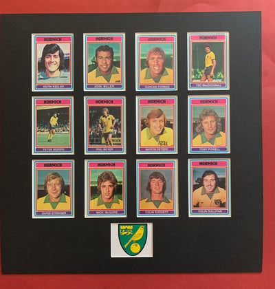 NORWICH CITY FOTBALLKORTMONTASJE FRA 1976/77 - GRAY BACKS