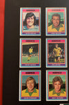 NORWICH CITY FOTBALLKORTMONTASJE FRA 1976/77 - GRAY BACKS