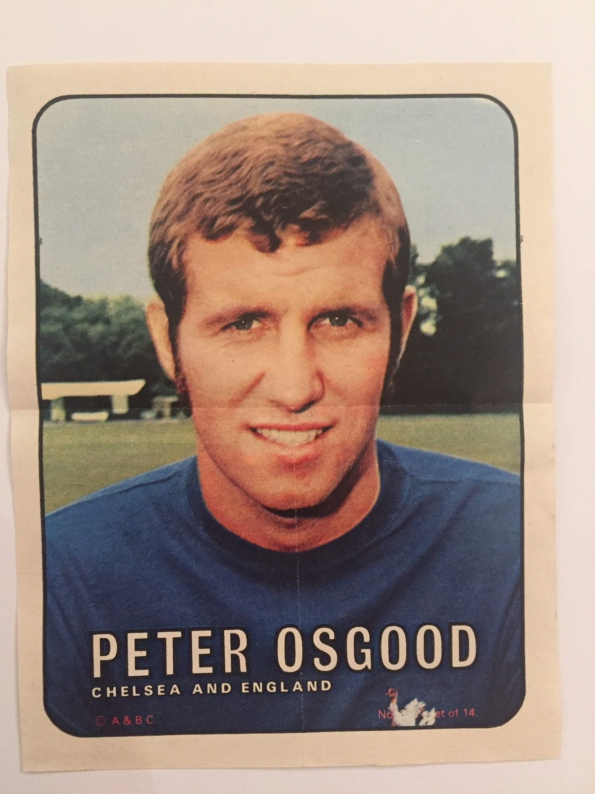 003. PETER OSGOOD - CHELSEA
