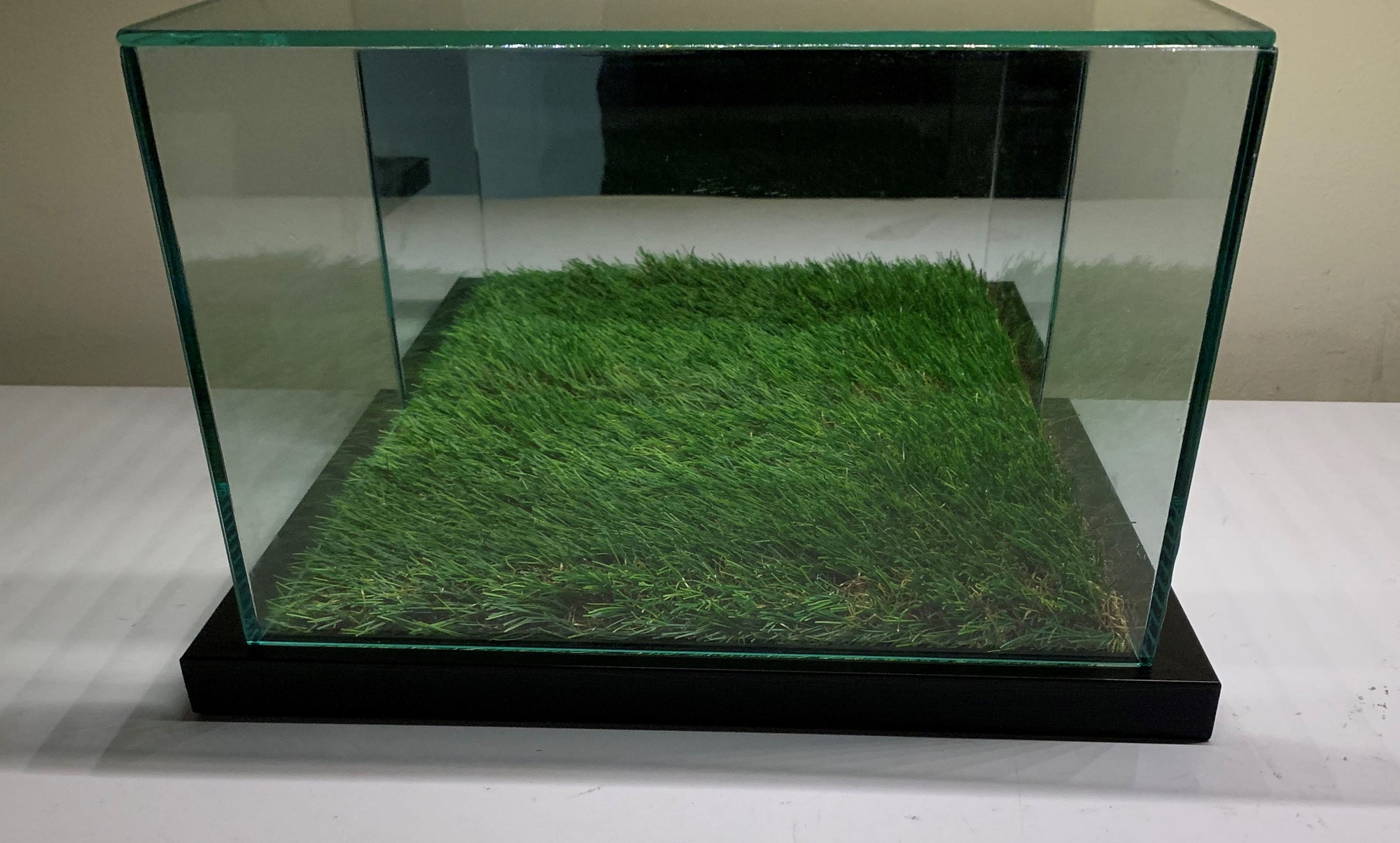 GLASS OG SPEILMONTER FOR UTSTILLING AV SKO