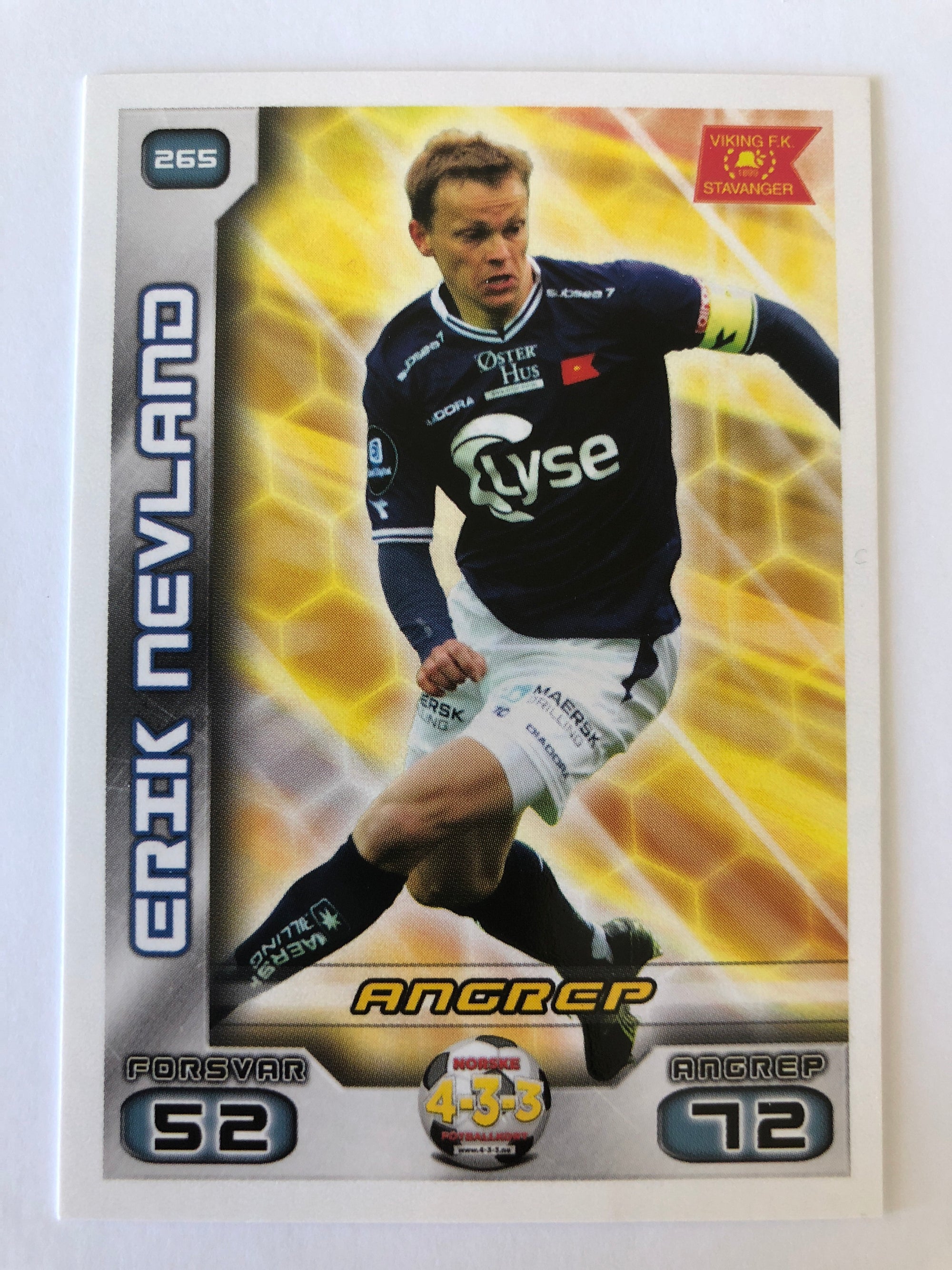 265. ERIK NEVLAND - VIKING