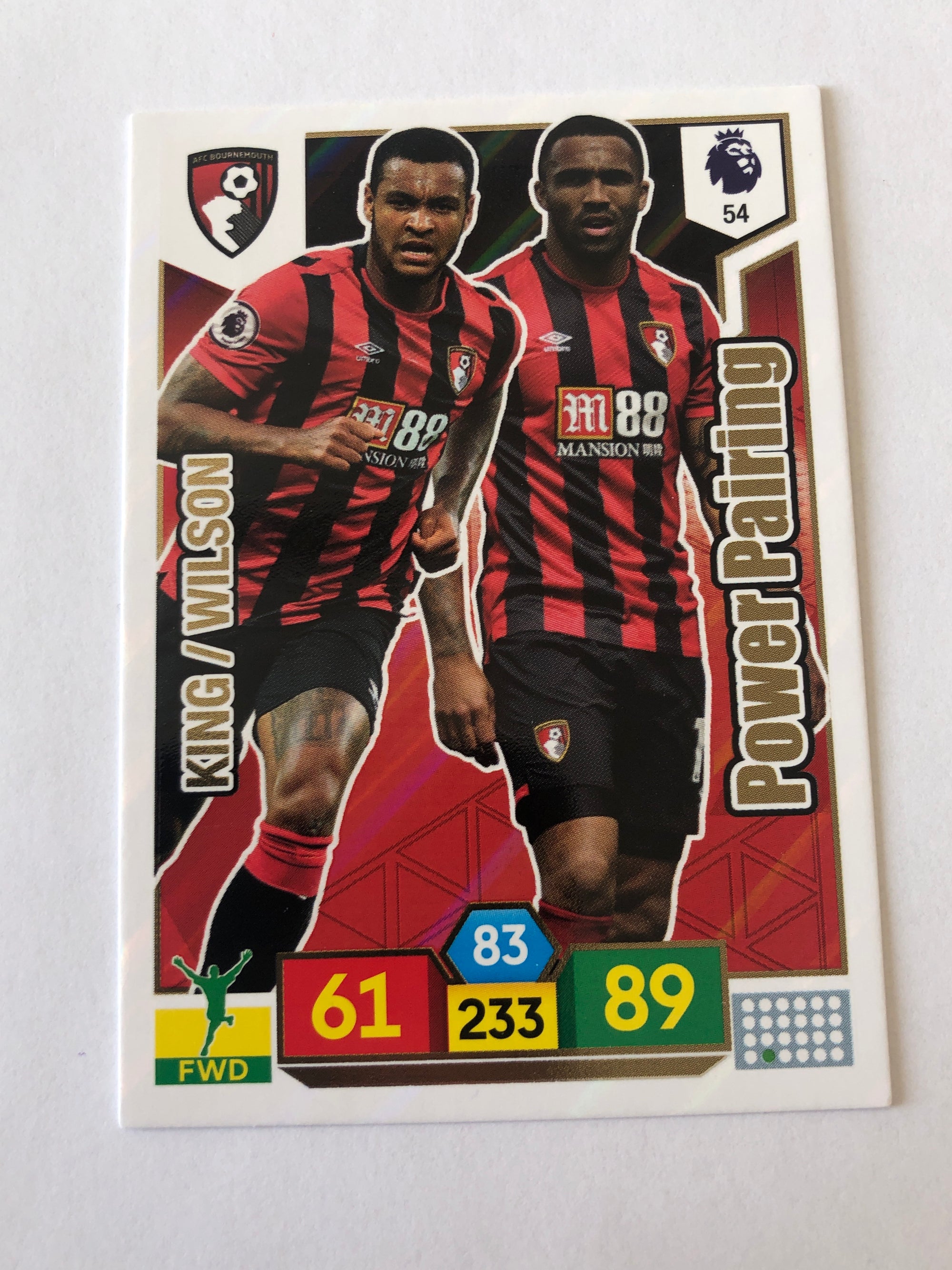 054. KING / WILSON - BOURNEMOUTH - POWER PAIRING