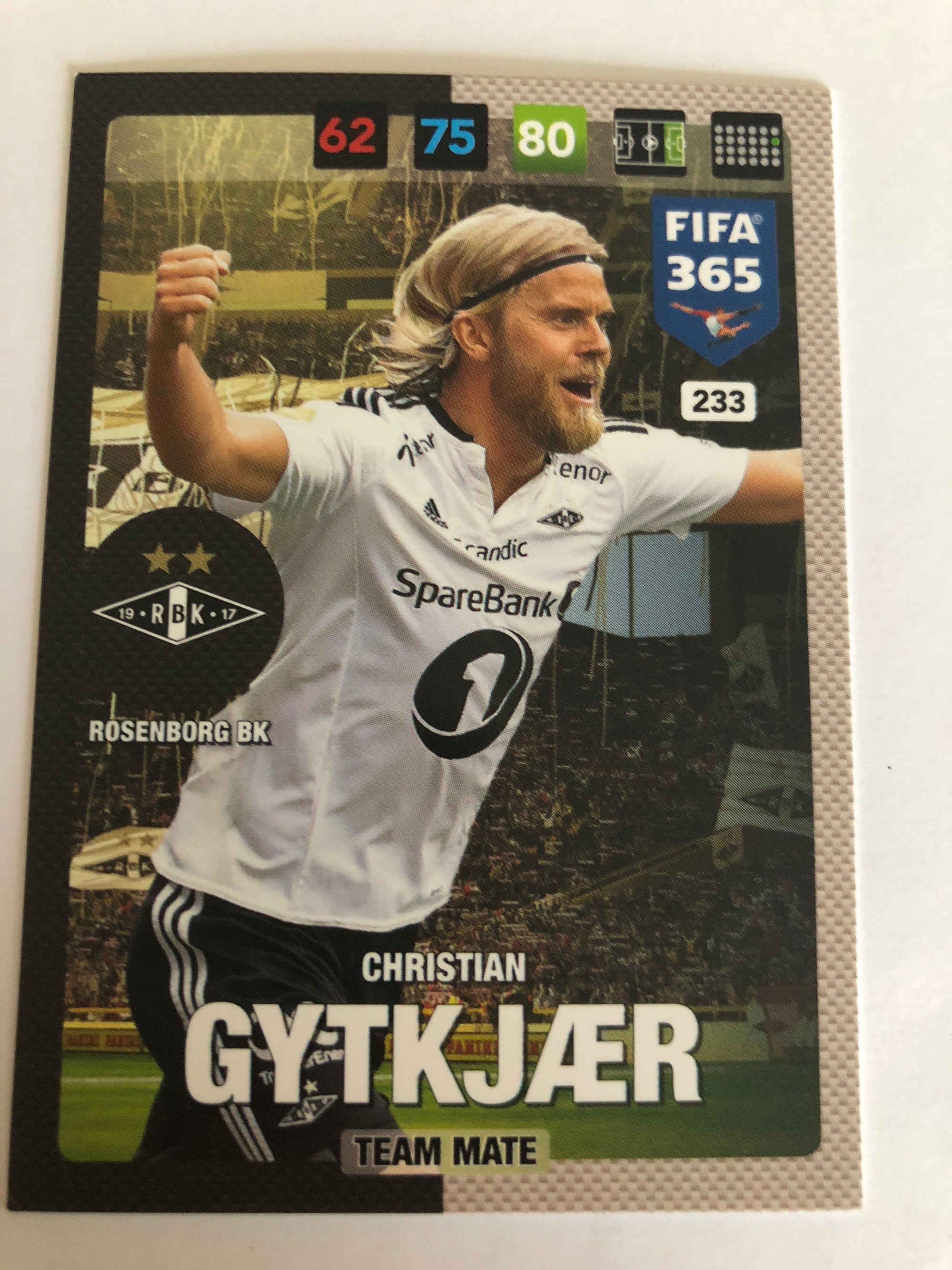 233. CHRISTIAN GYTKJÆR - ROSENBORG BK - TEAM MATE