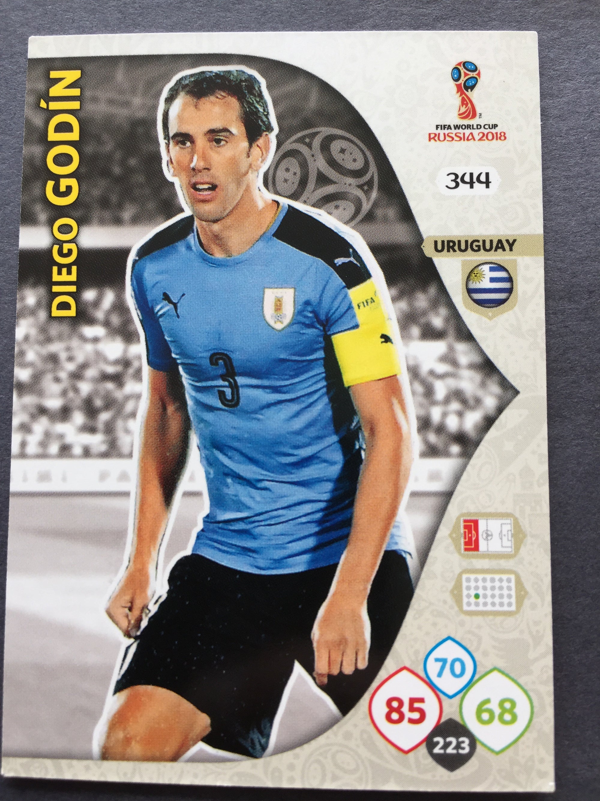 344. DIEGO GODIN - URUGUAY