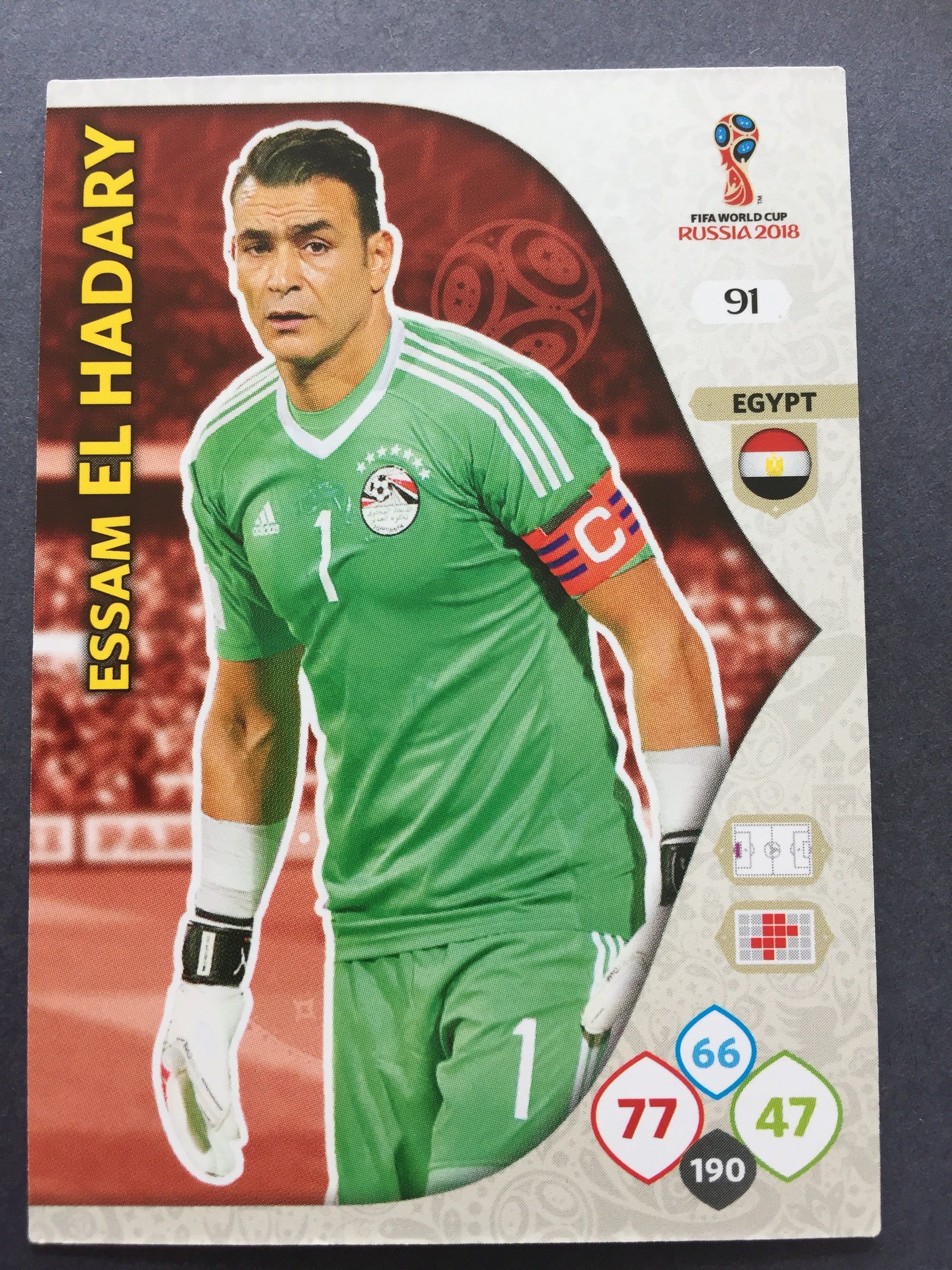 091. ESSAM EL HADARY - EGYPT