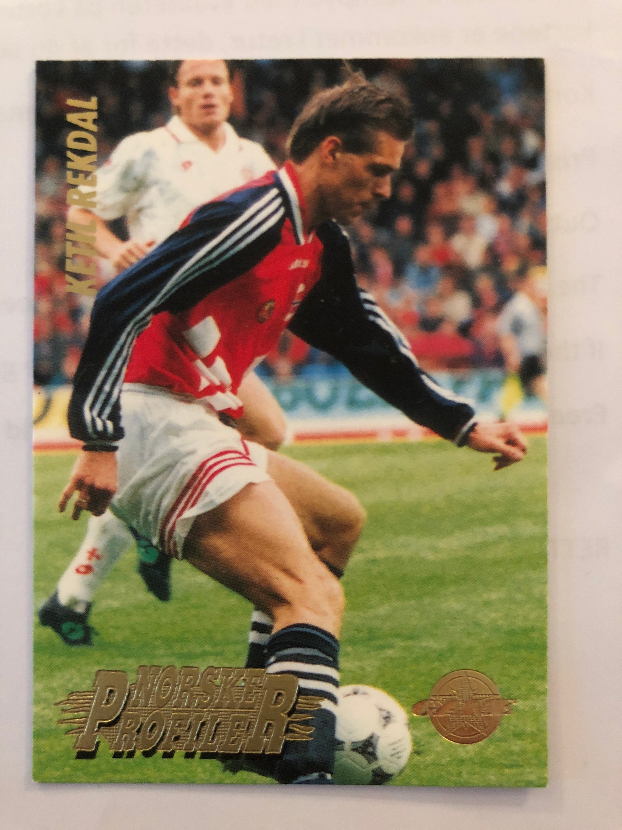 NORSKE PROFILER - KETIL REKDAL - LIERSE