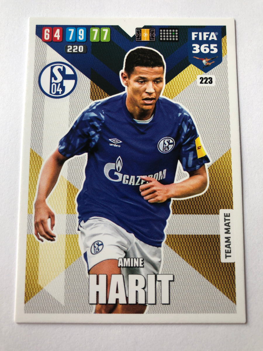 223. AMINE HARIT - SCHALKE 04 - TEAM MATE