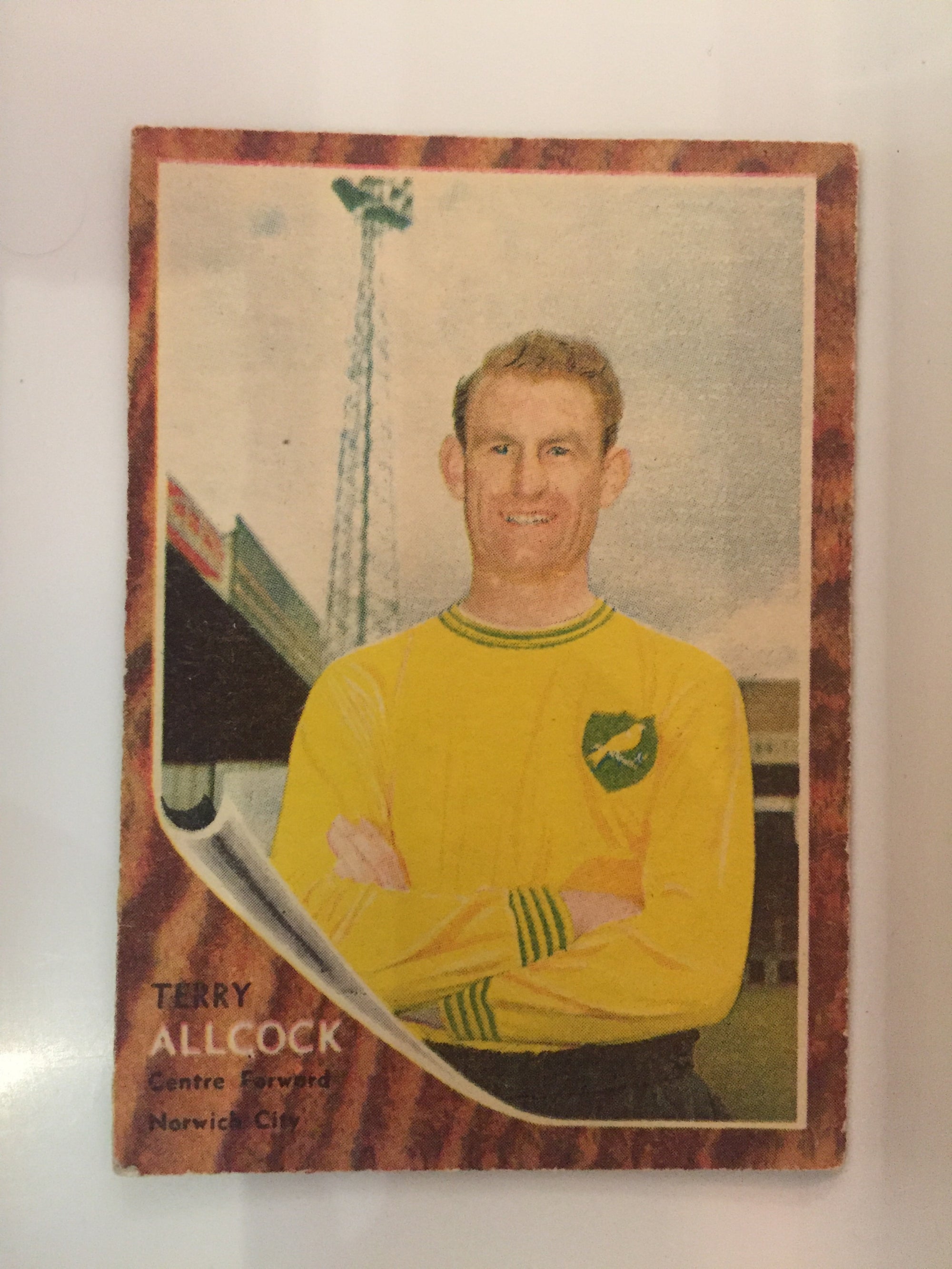 029. TERRY ALLOCK - NORWICH CITY