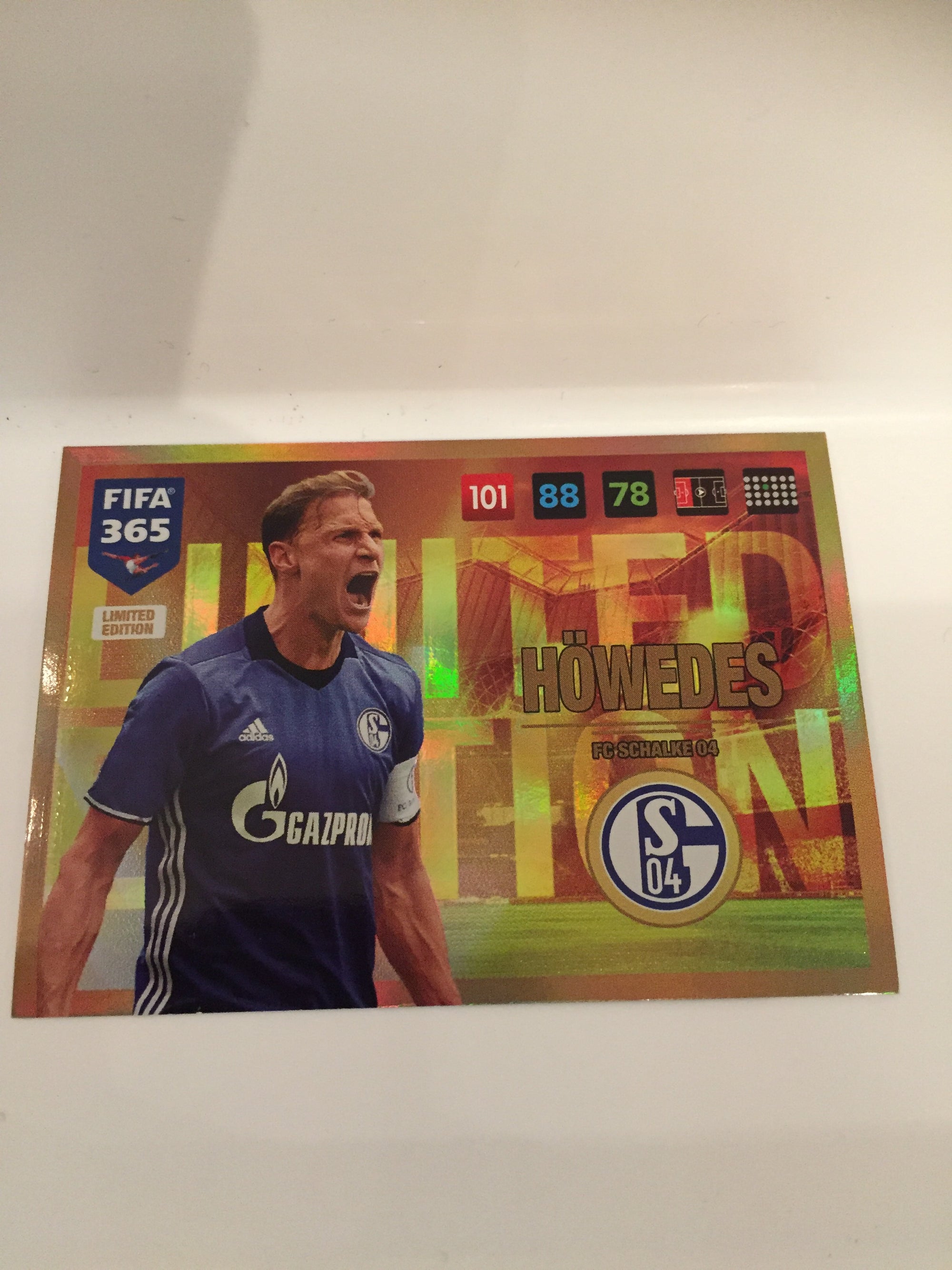 LIMITED EDITION - SCHALKE 04 - HØWEDES