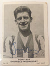 025. TONY KAY - SHEFFIELD WEDNESDAY