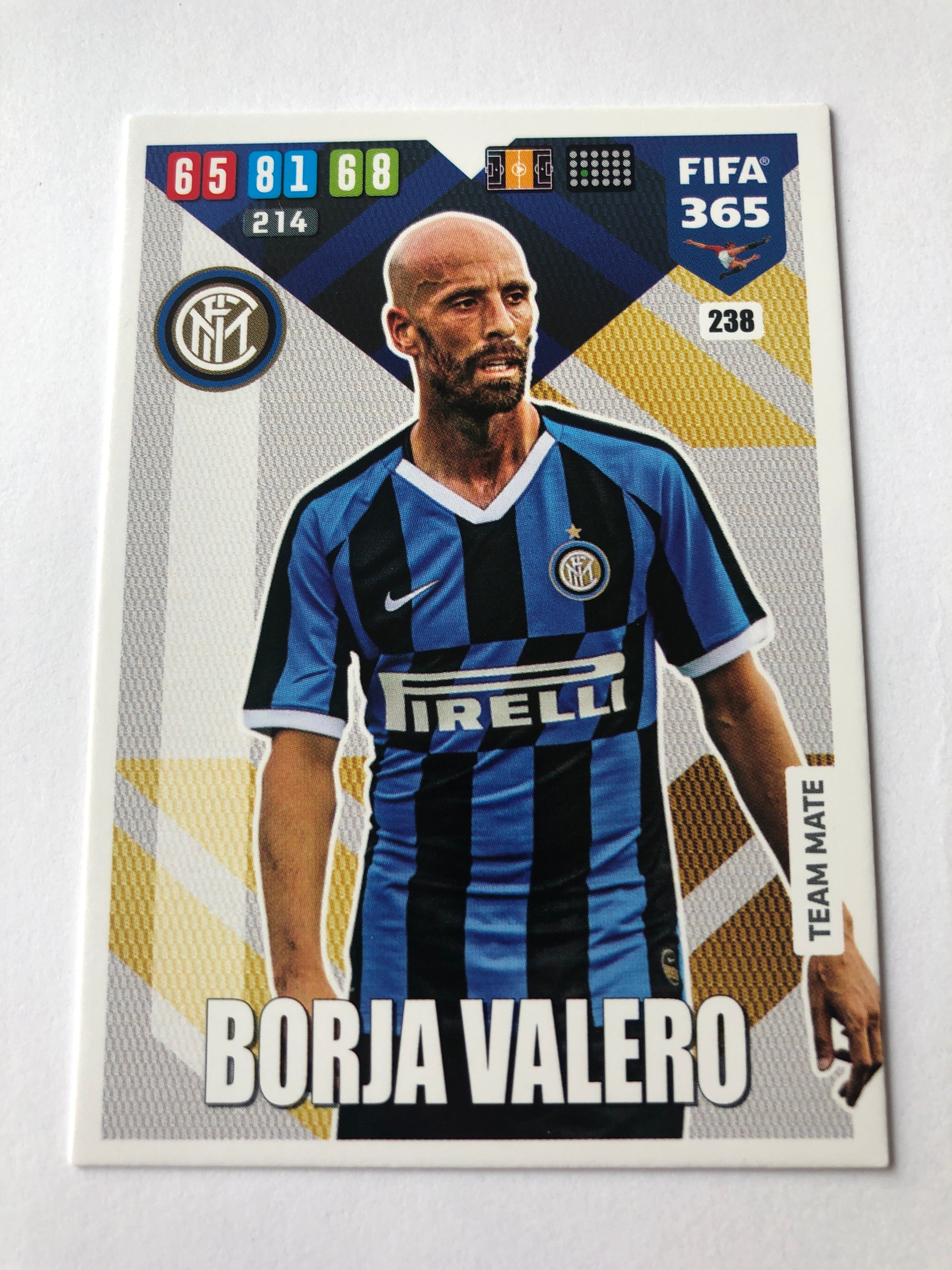 238. BORJA VALERO - INTER - TEAM MATE