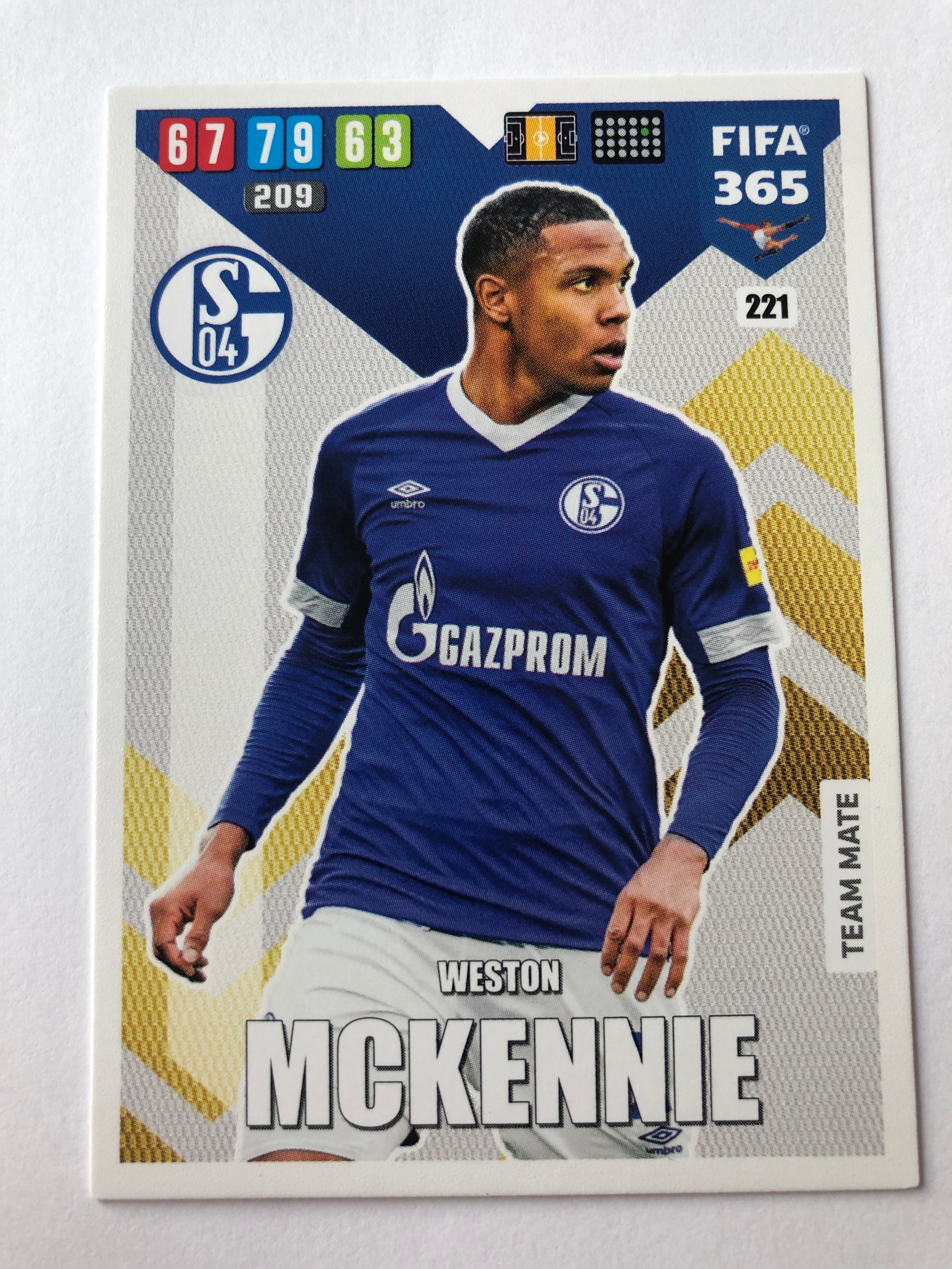221. WESTON MCKENNIE - SCHALKE 04 - TEAM MATE