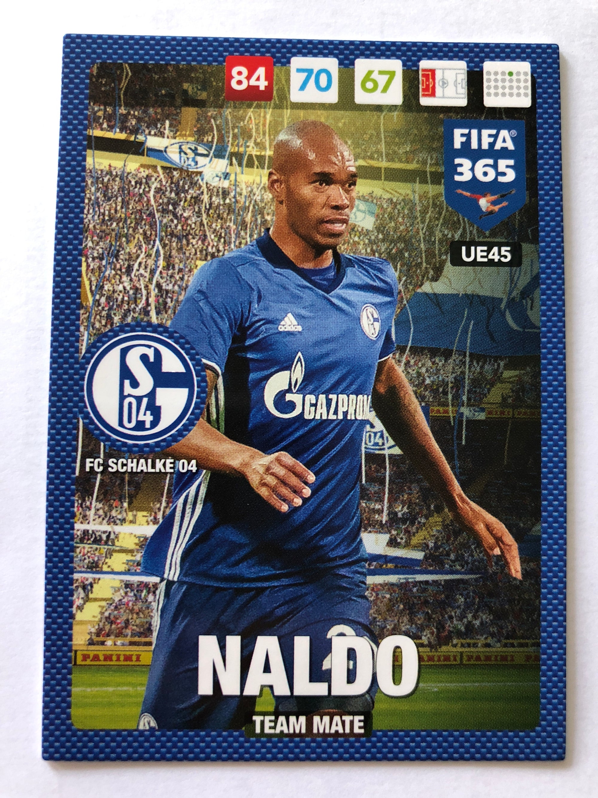 UE045 - NALDO - FC SCHALKE 04 - TEAM MATE