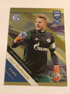141. 200TH MATCH FLR SCHALKE 04 - RALF FÄHRMANN - MILESTONE
