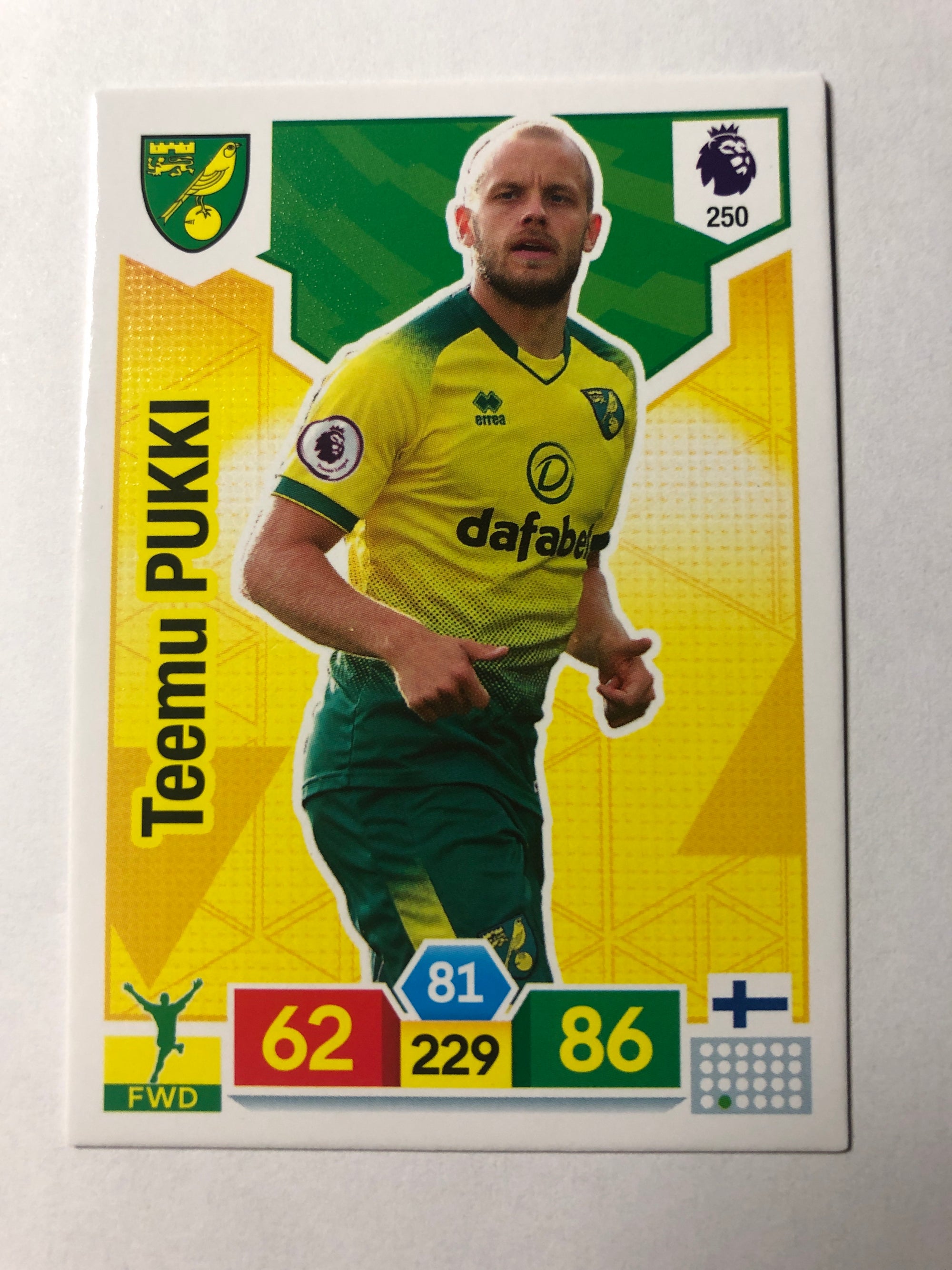 250. TEEMU PUKKI - NORWICH CITY