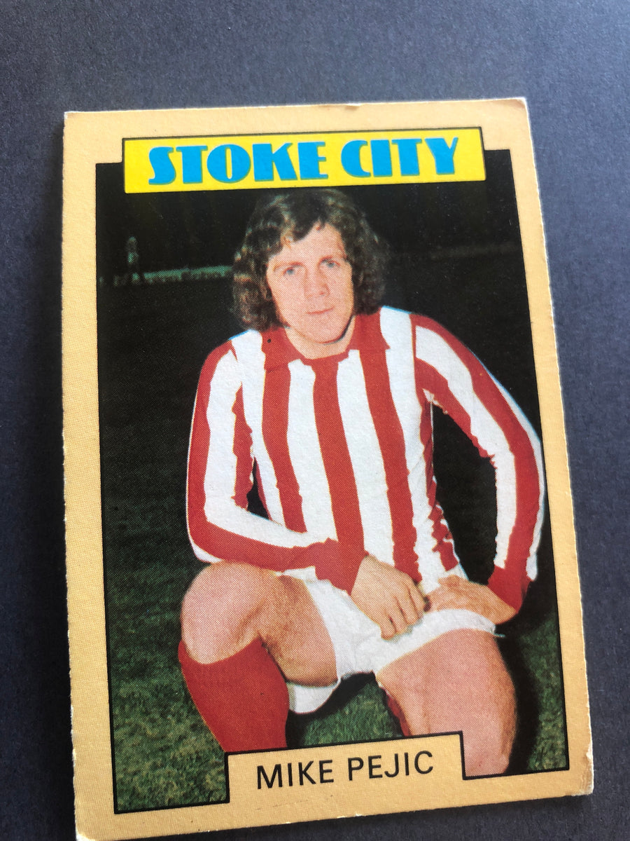 014. Mike Pejic - Stoke city