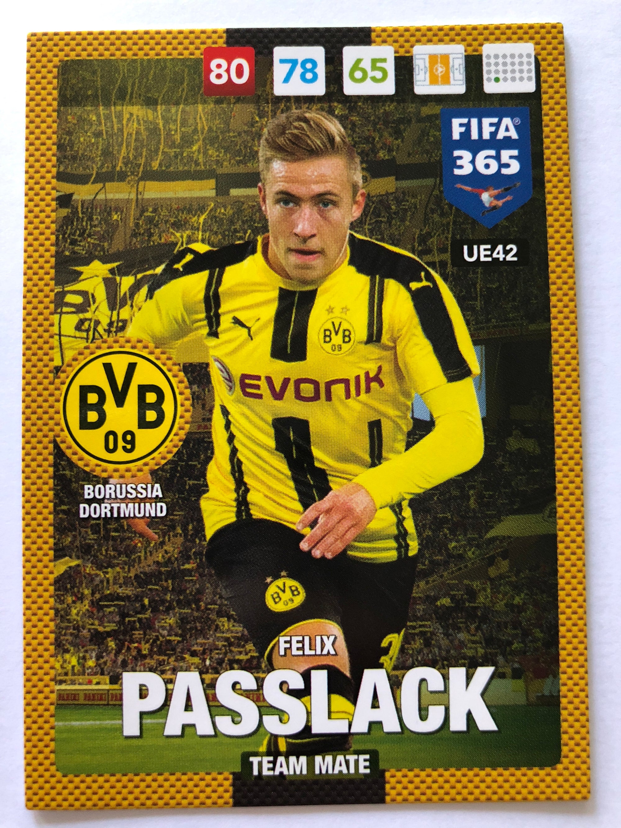 UE042 - FELIX PASSLACK - BORUSSIA DORTMUND - TEAM MATE