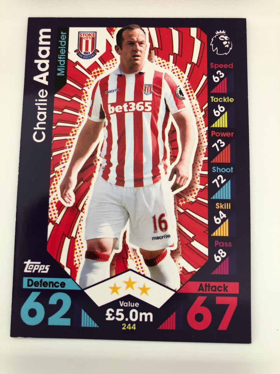 244. CHARLIE ADAM - STOKE CITY