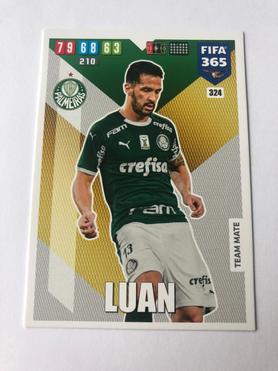 324. LUAN - PALMEIRAS - TEAM MATE