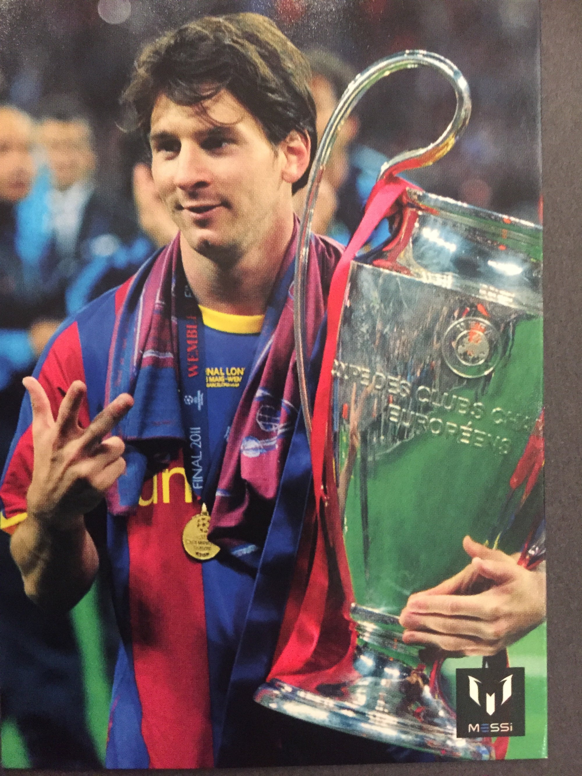 030. OFFICIAL MESSI CARD COLLECTION