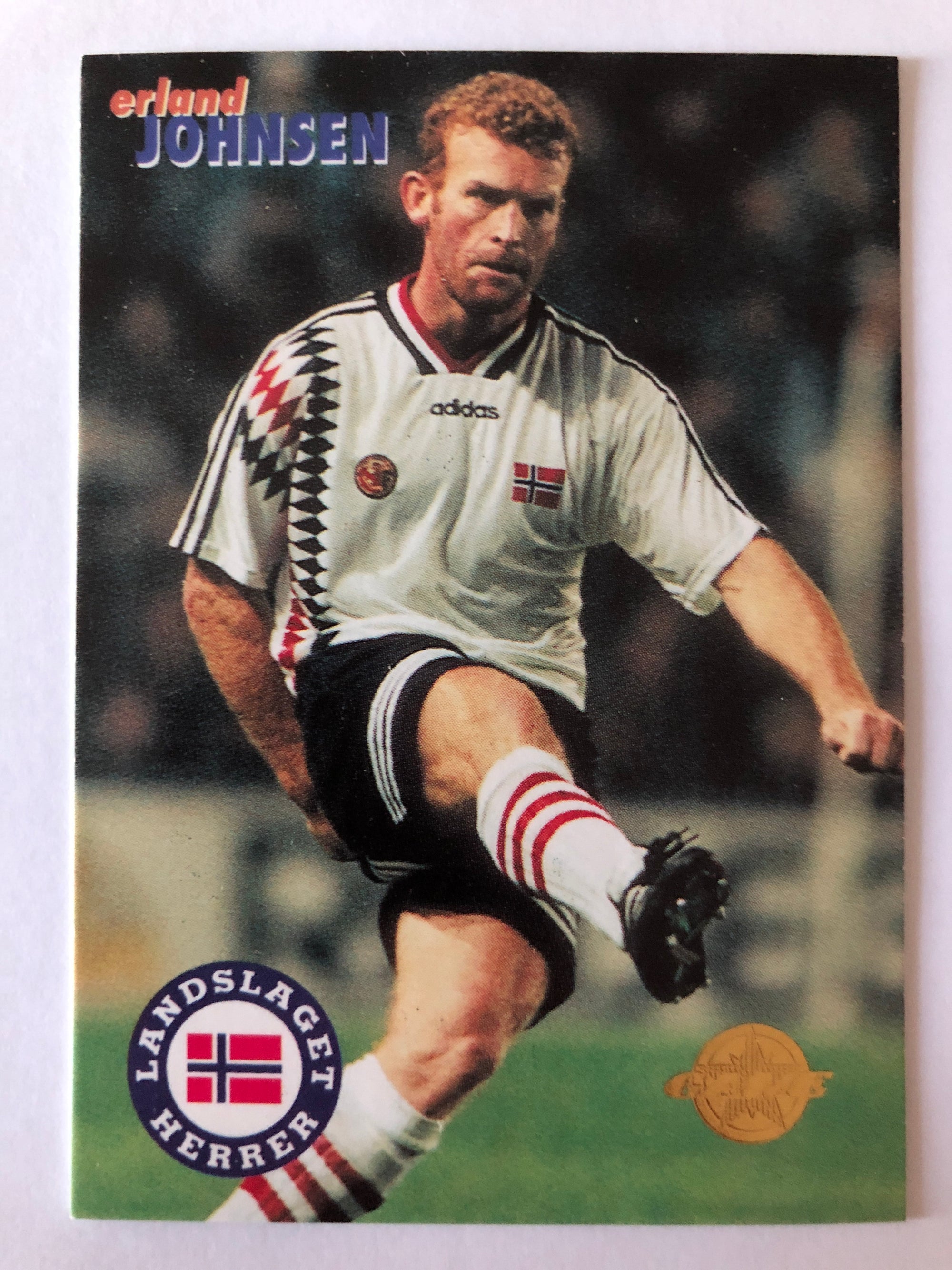 125. ERLAND JOHNSEN - LANDSLAGET HERRER